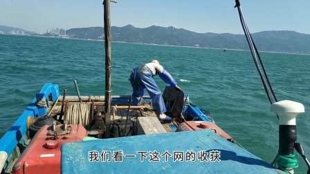 南澳岛赶海日记 最近放网捕鱼收获不好，彪哥学习别的捕鱼方式，还挺适合游客体验
