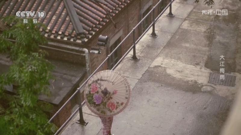 地理中国 《地理·中国》 20260807 大江梅雨