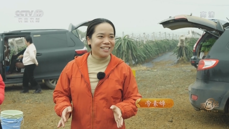 致富经 《致富经》 20220324 要强女儿的鲜果奇缘