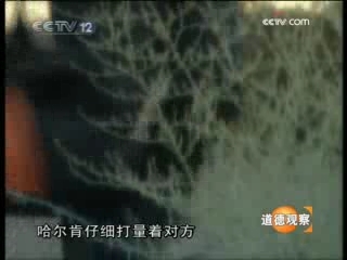 道德观察 草原上的陌生来客
