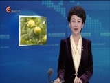 贵州新闻联播 《贵州新闻联播》 20170921