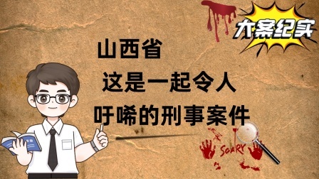 山西省  这是一起令人吁唏的刑事案件