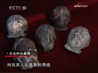 走近科学 水边的头盖骨