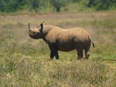 原始求生记-极致非洲远征 第一季（Primal Survivor Extreme African Safari）第1集：东非大裂谷