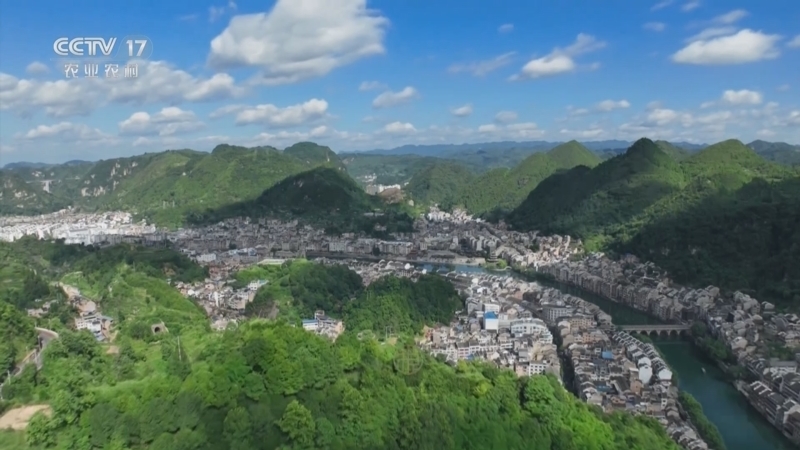 《三农群英汇》 20250529 古韵今风守艺人——龙舟队的传承人