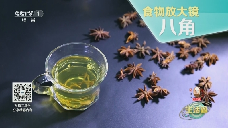 生活圈 《生活圈》 20241126