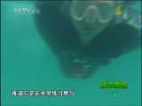 绿野寻踪 绿野寻踪 2010年 第48期