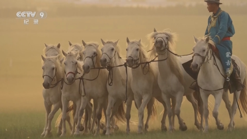 《蒙古马》 第5集