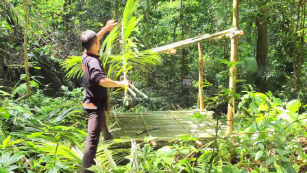 热带雨林体验原始生活，搭建庇护所，享受大自然的魅力