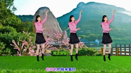 优美DJ广场舞《花开的时候》动感32步附分解