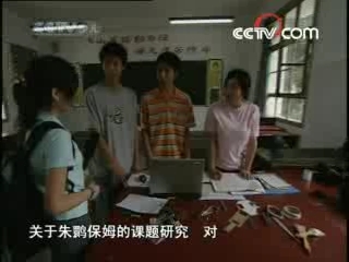 芝麻开门【央视】 朱鹮保姆 上