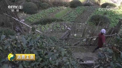 消费主张 《消费主张》 20190220 家乡的年味儿：安徽休宁