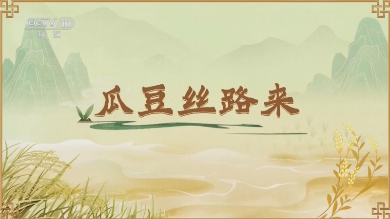 百家讲坛 《百家讲坛》 20260628 食物的历史（第二部） 9 瓜豆丝路来