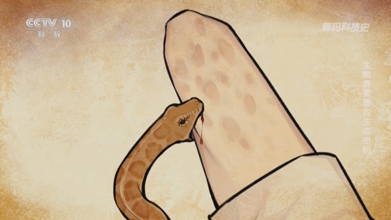 《解码科技史》 20251126 生物毒素里的生态密码