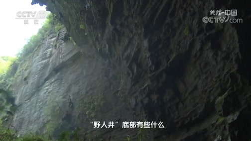 地理中国 《地理·中国》 20200305 井底乾坤·竖井里的秘密