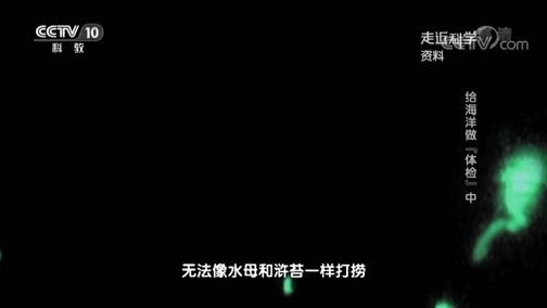 走近科学 《走近科学》 20190702 给海洋做“体检”（中）