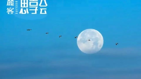《麓客》思享会05 相信未来 一念既定，重山无阻