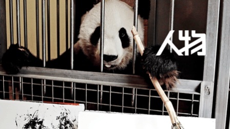 维也纳阳阳 善画水墨的大熊猫