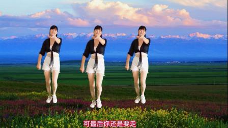 动听情歌广场舞《爱过了头心伤透》动感好看
