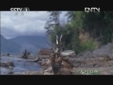 人与自然 《人与自然》 20121102 自然发现 生命——昆虫世界