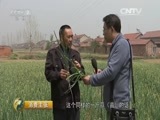 消费主张 《消费主张》 20160406 打击假农资 为您保春耕（二）