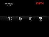 动物世界 《动物世界》 20111025
