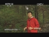 生财有道 《生财有道》 20141112 森林小精灵带来大财富