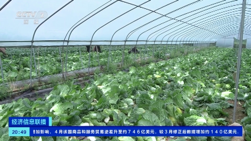 经济信息联播 《经济信息联播》 20230608