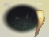 生财有道 [生财有道]草原牧鸡(20120821)