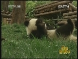 新闻袋袋裤 《新闻袋袋裤》 20120928
