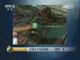 消费主张 《消费主张》 20170128 冬季水产市场调查——“珊瑚”鱼 精编版