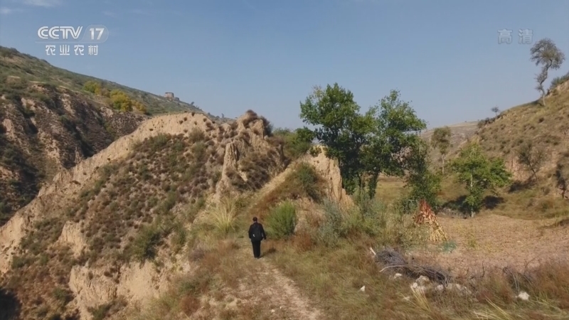 《我的村庄和我》 20221121 灵感长在泥土里