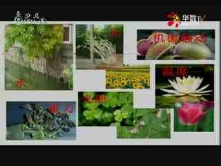 名师公开课 《植物生命活动的调节》授课教师：费骏靖