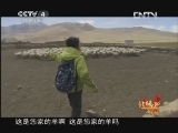 北纬30&deg;&middot;中国行 （下） 《远方的家》北纬30°·中国行 第一百七十集 寻找喜马拉雅藏獒 20130227