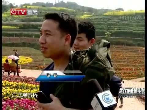 新闻解码 《新闻解码》 20150323 繁花似锦 何以成行