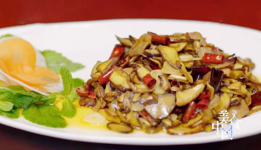 美食中国 《美食中国》 20201008 系列片《食以技为先》之大山的馈赠