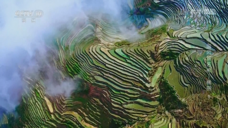 地理中国 《地理·中国》 20260704 中国风景名片——梯田1
