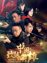 致敬中国英雄网络版