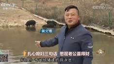 致富经 [致富经]扎心媳妇三句话 憋屈老公喜得财 20190114