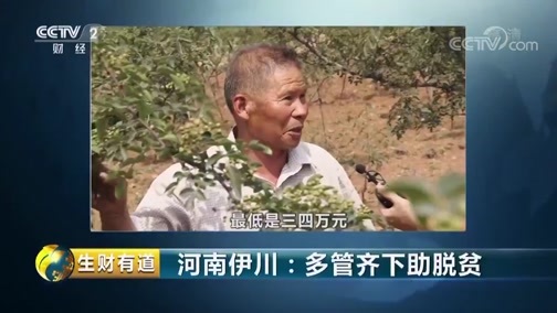 生财有道 《生财有道》 20190614 河南伊川：多管齐下助脱贫
