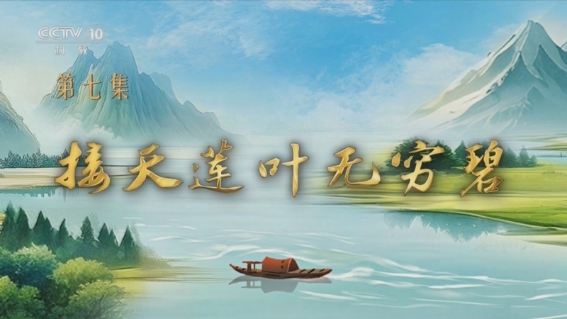 百家讲坛 《百家讲坛》 20250821 特别节目《我见青山》（7） 接天莲叶无穷碧
