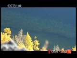 地理中国 柴河地质探秘 地理中国 2010-12-12