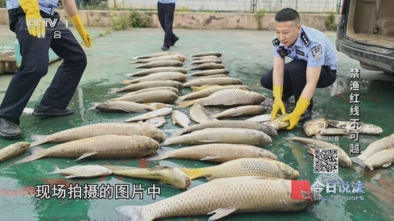 今日说法 《今日说法》 20260622 禁渔红线不可越