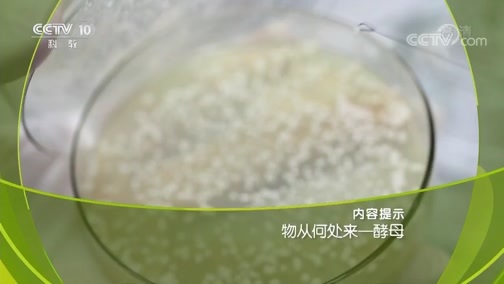 走近科学 《走近科学》 20181020 物从何处来 酵母