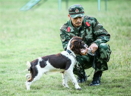 奇兵神犬 第3期：暖男杨烁援助张馨予