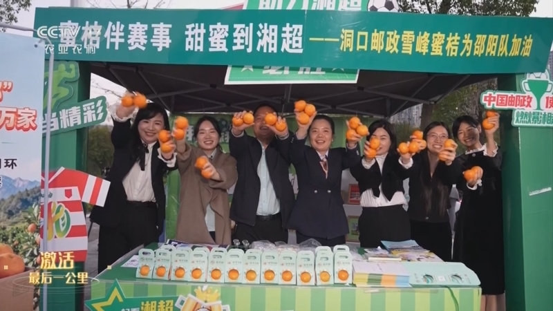 《激活最后一公里》 20251124 湖南洞口 呵护新鲜 蜜桔香飘四方