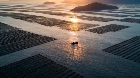 新闻手语20210401