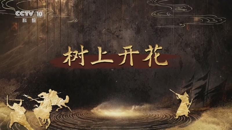 百家讲坛 《百家讲坛》 20250814 趣解三十六计（下部） 11 树上开花