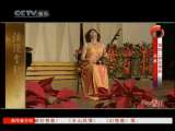 风华国乐 风华国乐 2010年 第294期