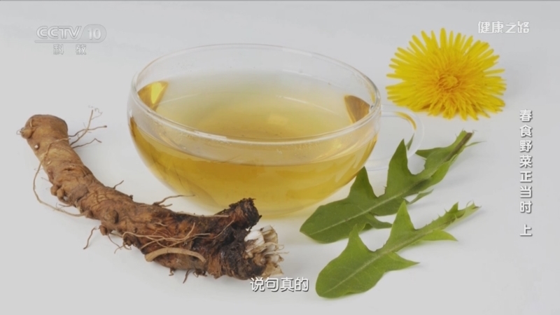 健康之路 《健康之路》 20230304 春食野菜正当时（上）